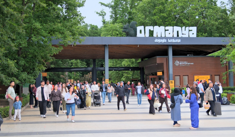 orman
